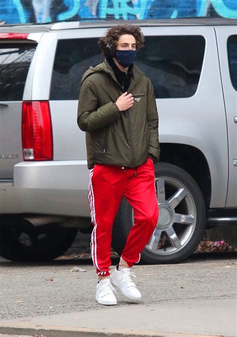 timothee chalamet adidas